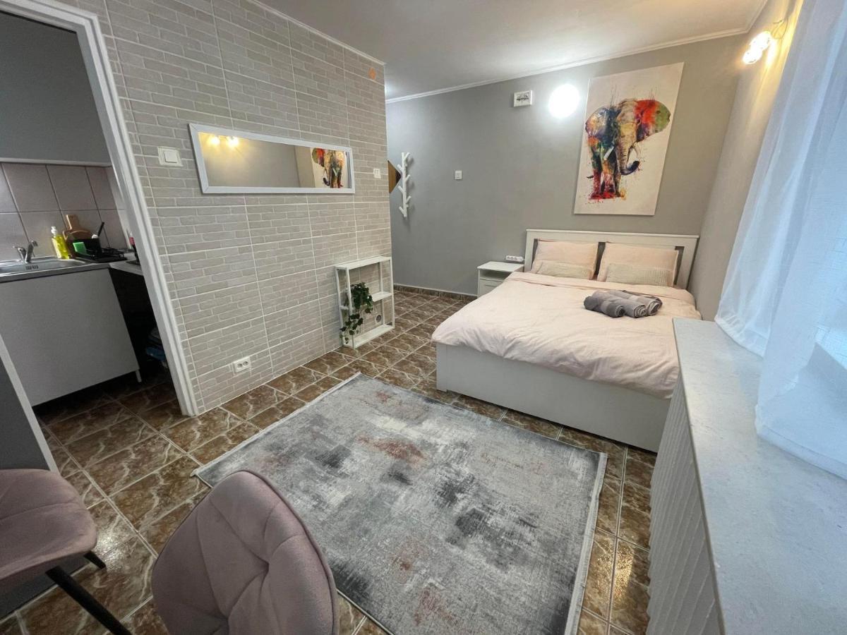 One Room Apartment Decebal Bucureşti Eksteriør bilde