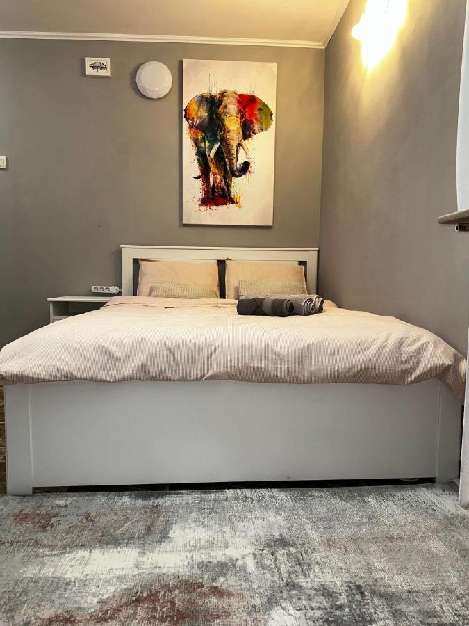 One Room Apartment Decebal Bucureşti Eksteriør bilde